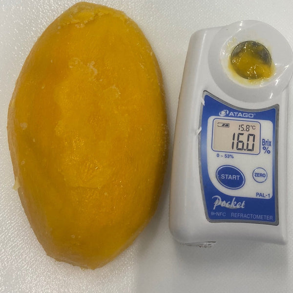 mango high brix