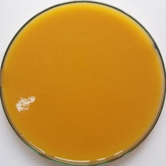 mango puree