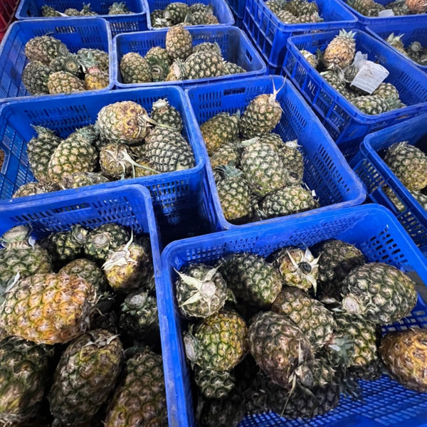 pineapple pre-processing
